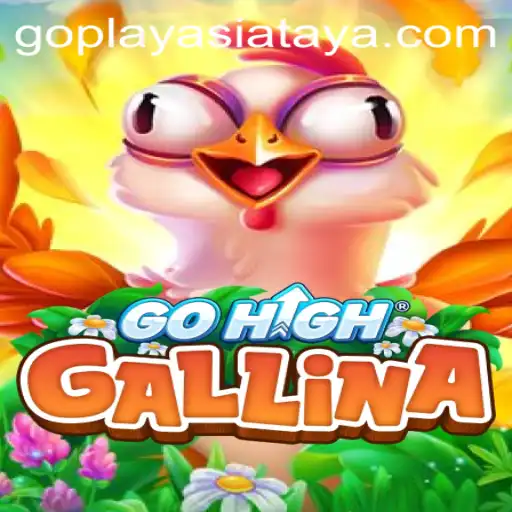 Exploring the Exciting Universe of GoHighGallina